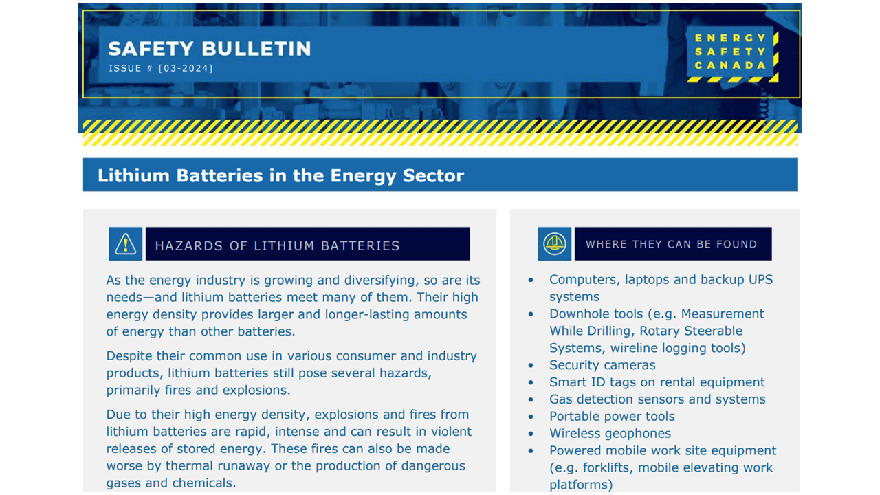 Lithium Batteries in the Energy Sector