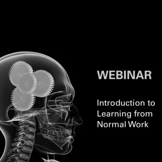 HF in Learning from Normal Work graphic 750x500
