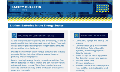 Lithium Batteries in the Energy Sector