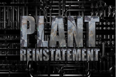 Image of Plant reinstatement