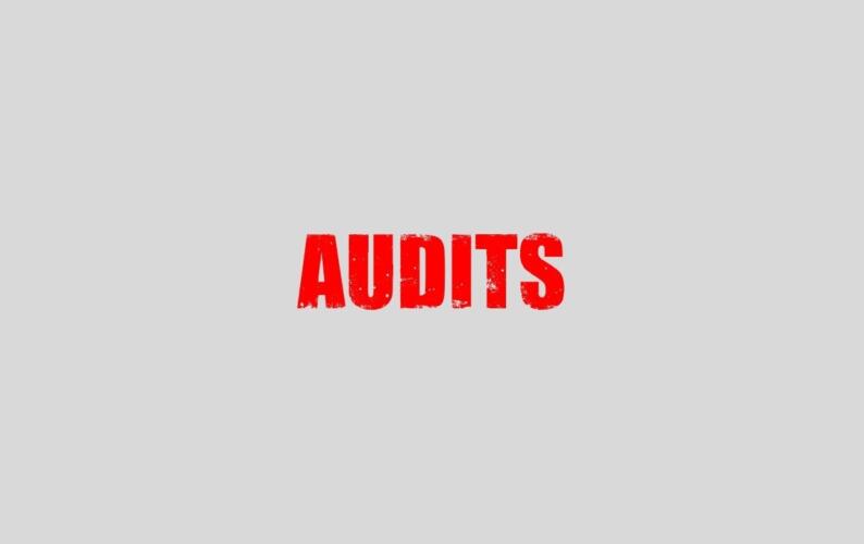 Audit thumb